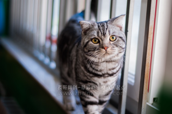 大家好，我回来了