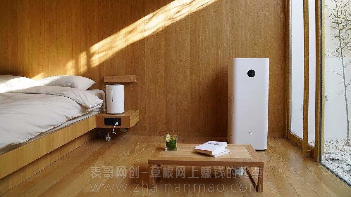 做什么网站赚钱？卖空气净化器网年赚十万